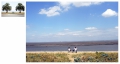Luigi Ghirri on the left